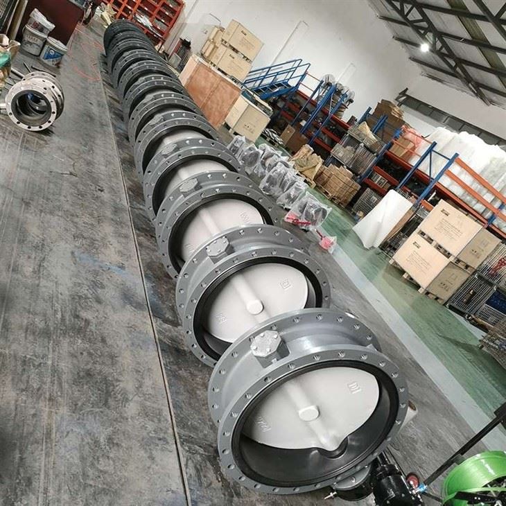 Large Diameter Turbine Flange Butterfly Valve