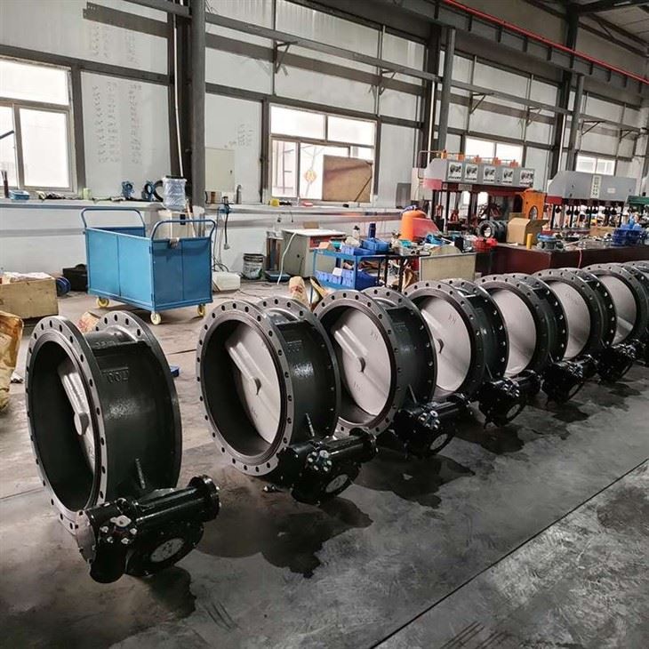 Large Diameter Turbine Flange Butterfly Valve